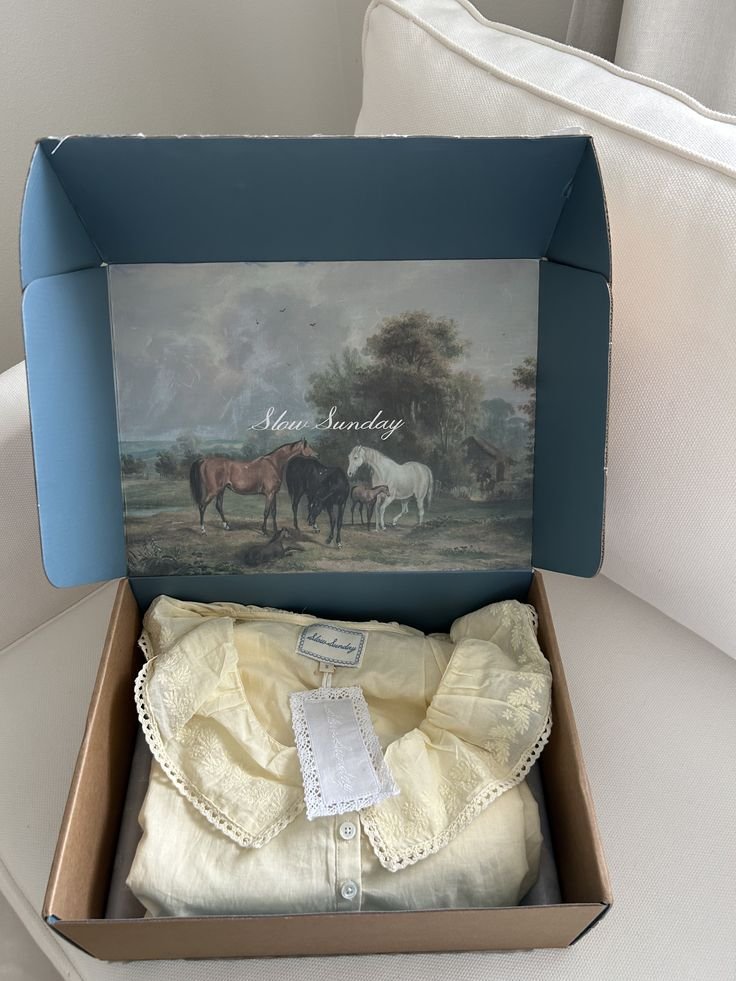 Clothing Folding Box For Clothing